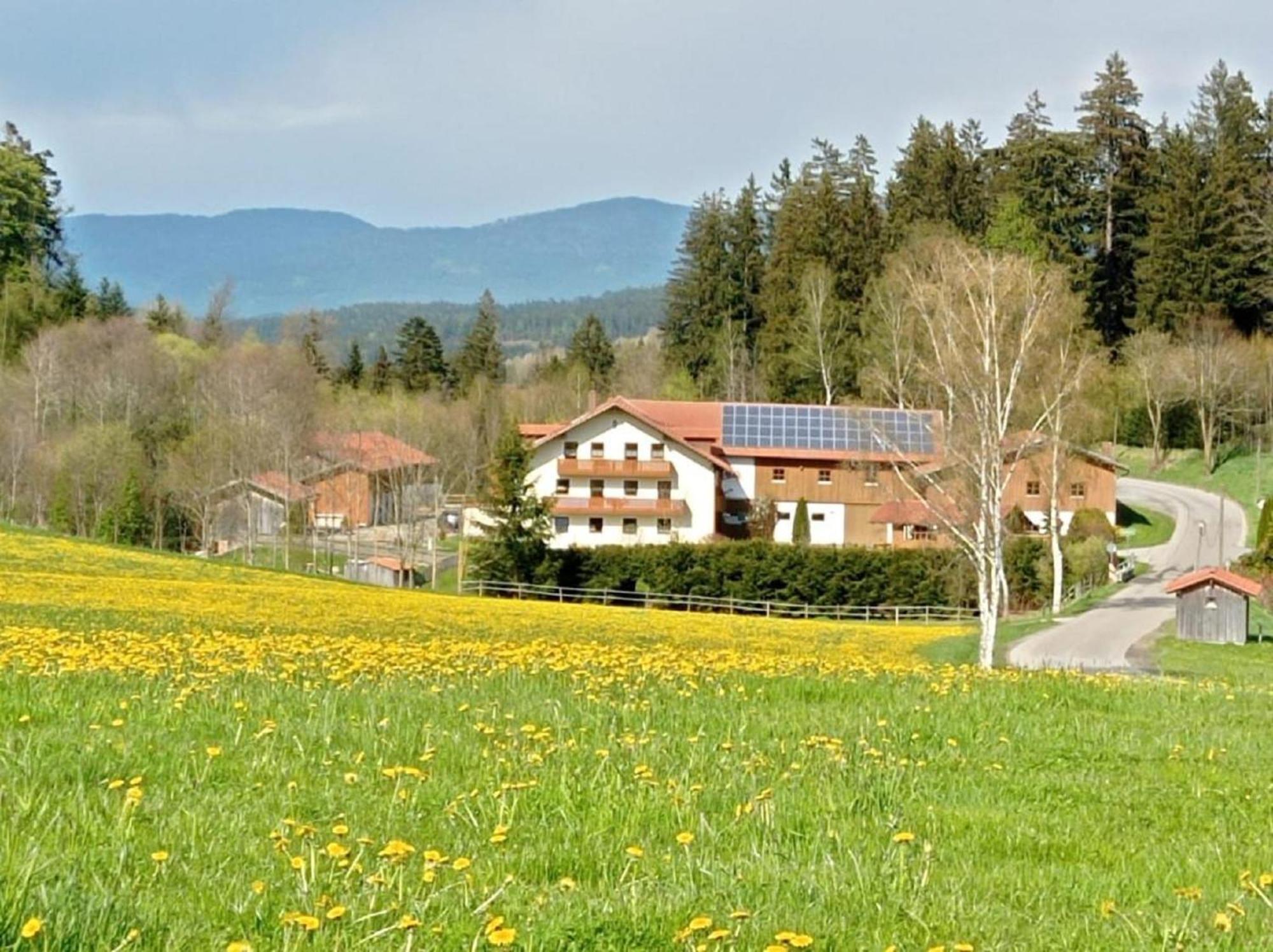 Ferienbauernhof Mehlbach Kollnburg Exterior foto